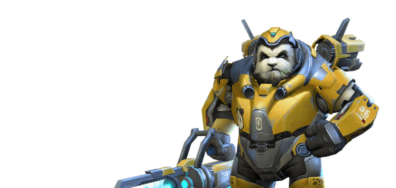 Winston is now a panda.
